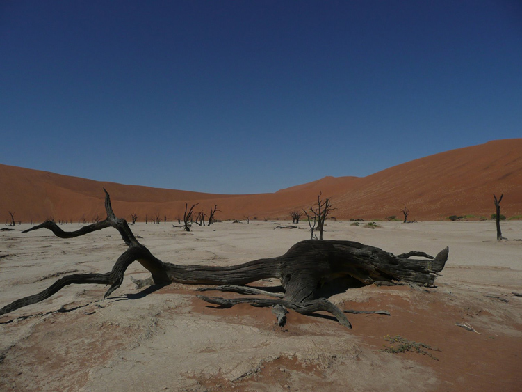 18  deadvlei.jpg